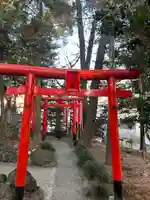 開運招福 飯玉神社の鳥居