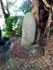 開運招福 飯玉神社(群馬県)