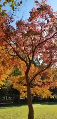 徳島稲荷神社の自然