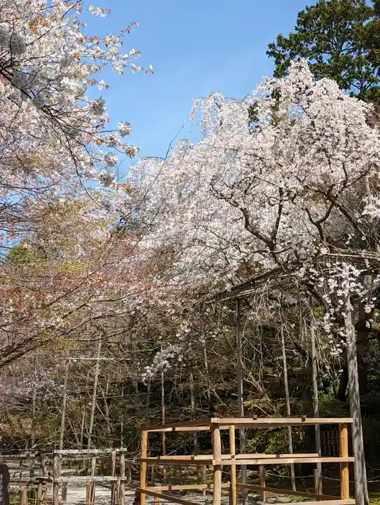 龍安寺(京都府)