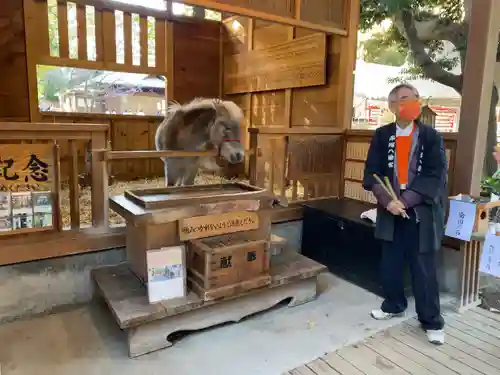 平塚八幡宮(神奈川県)