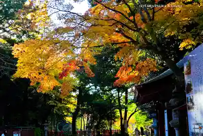 香取神宮(千葉県)