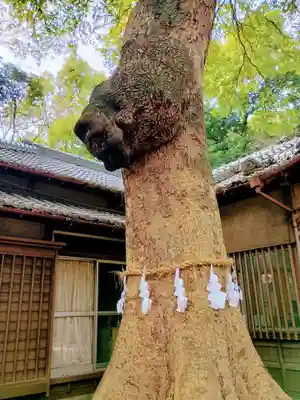 氷川女體神社(埼玉県)