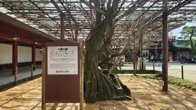 笠間稲荷神社(茨城県)