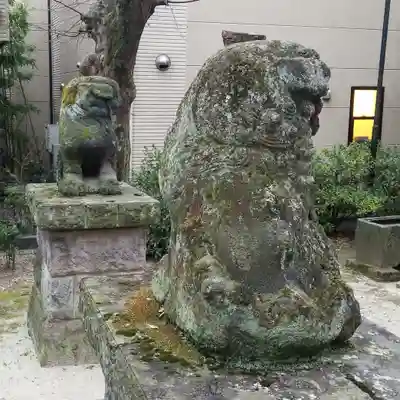 上平井天祖神社の狛犬