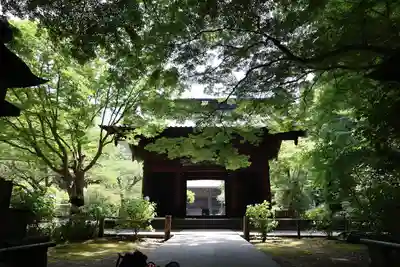 妙本寺(神奈川県)