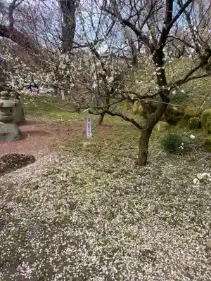 岩津天満宮(愛知県)