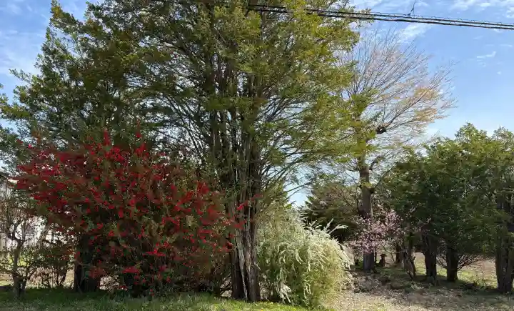 淺間神社(忍野八海)の{uncategorized: "未分類", other: "その他", undefined: "問題あり", building: "その他建物", grave: "お墓", sacred_gate: "鳥居", guardian: "狛犬", statue: "像", buddha: "仏像", history: "歴史", nature: "自然", garden: "庭園", animal: "動物", pagoda: "塔", temizu: "手水舎", mountain_gate: "山門・神門", sanctuary: "本殿・本堂", subordinate: "末社・摂社", art: "芸術", scenery: "景色", jizo: "地蔵", ema: "絵馬", goshuin: "御朱印", omikuji: "おみくじ", items: "授与品その他", amulet: "お守り", goshuincho: "御朱印帳", eats: "食事", festival: "お祭り", votive_dance: "神楽", shichigosan: "七五三参", wedding: "結婚式", experience: "体験その他", initially: "初詣", around: "周辺", anti_infection: "感染症対策"}