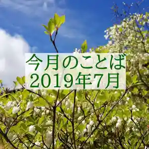 西方山極楽寺(岐阜県)(2019年07月08日(月) 00時53分47秒投稿)