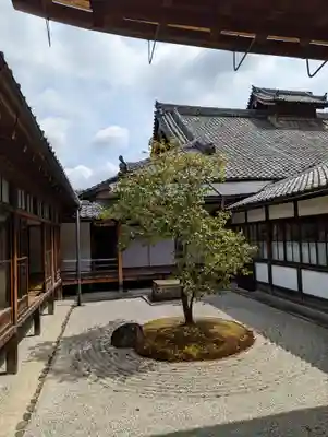 建仁寺（建仁禅寺）(京都府)