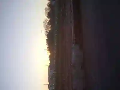 天照大神(神奈川県)