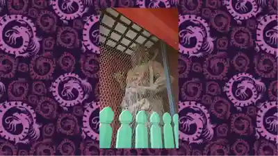 普明寺大日堂(東京都)