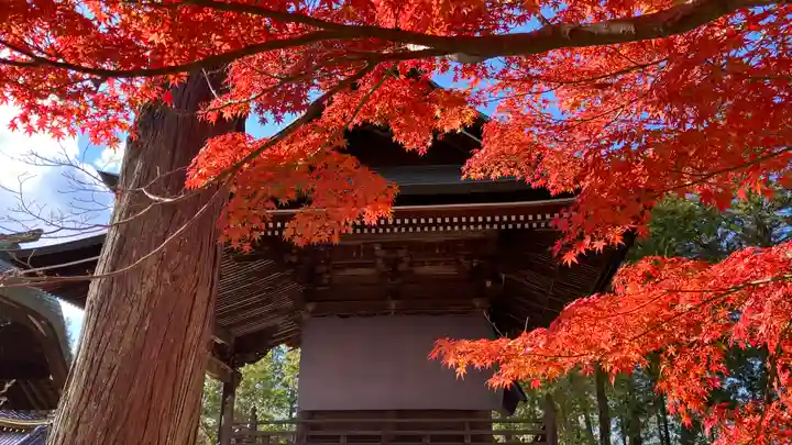 龍泉寺(岡山県)