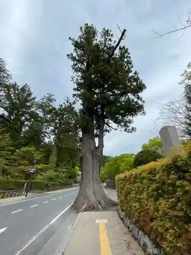多聞院(和歌山県)