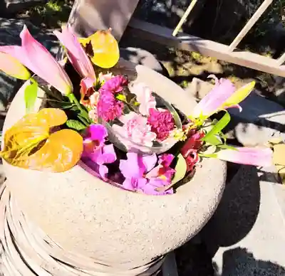 尾張猿田彦神社(愛知県)