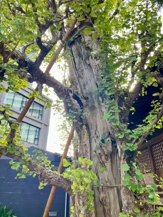 廣尾稲荷神社(東京都)