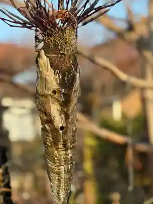 常泉寺(神奈川県)