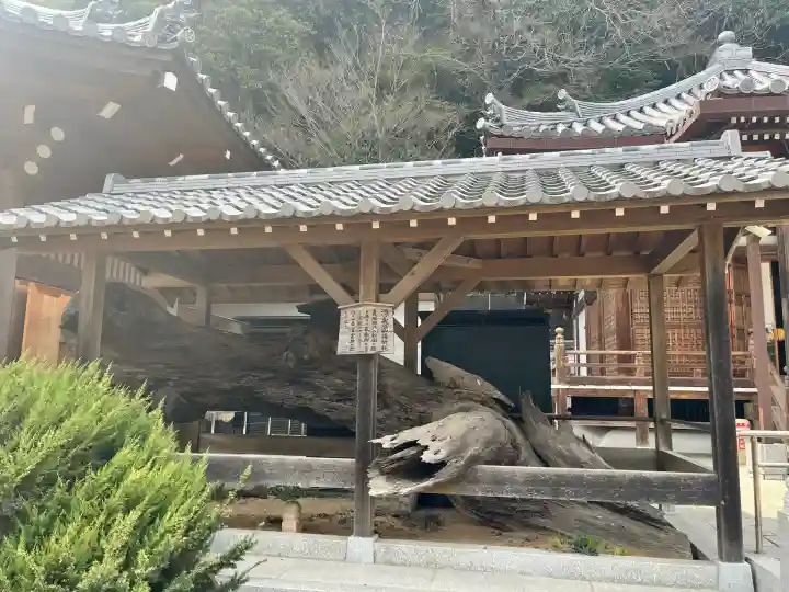 福祥寺(須磨寺)(兵庫県)