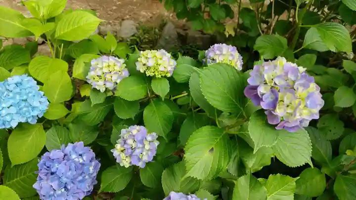 楽法寺(雨引観音)(茨城県)