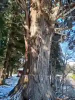 秋葉神社(岩手県)