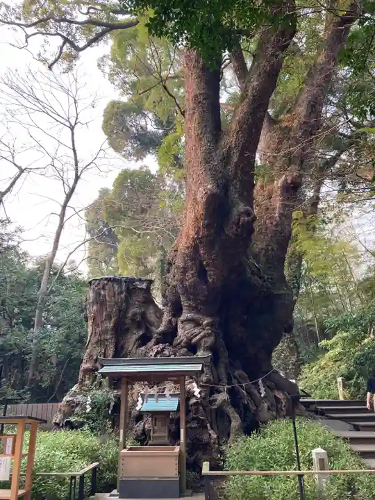 來宮神社(静岡県)