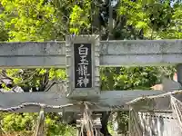 白玉龍神(滋賀県)