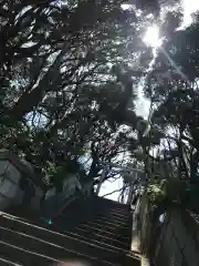 酒列磯前神社の建物その他