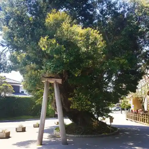 鹿島神宮の自然