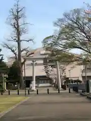 福井神社(福井県)