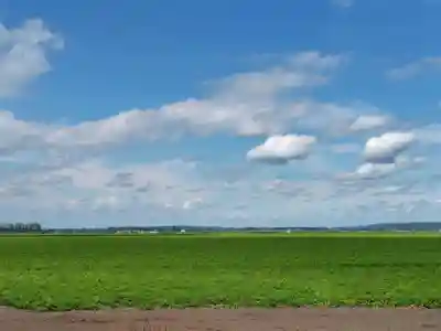 上更別神社の景色