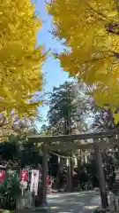 大神神社(栃木県)