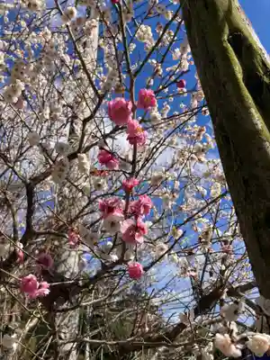 鷲神社(茨城県)