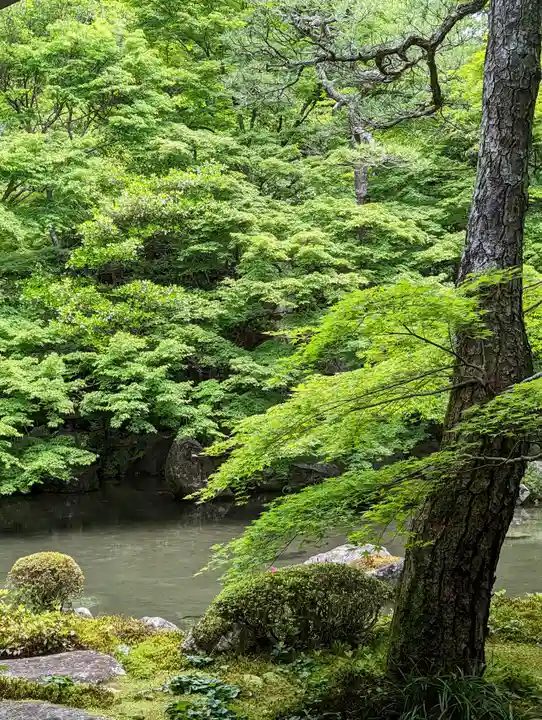 蓮華寺(洛北蓮華寺)(京都府)