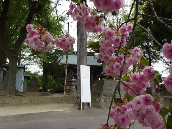 熊野福藏神社の自然