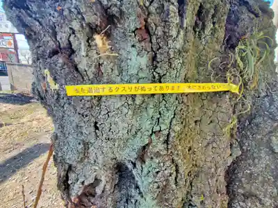 二石稲荷神社(栃木県)