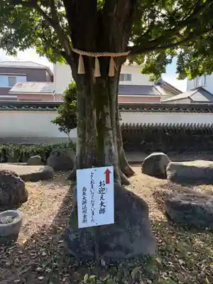 観音院(愛知県)