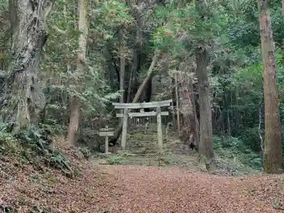 佐志能神社の鳥居