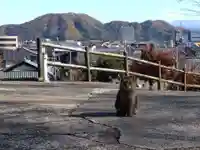 妙行寺(福井県)