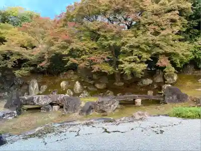 圓徳院(京都府)
