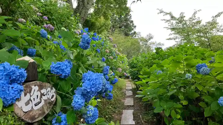 普門寺(岡山県)