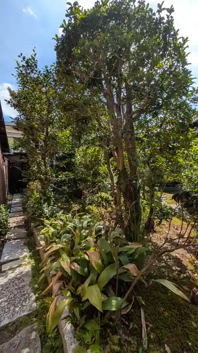 照臨院(京都府)