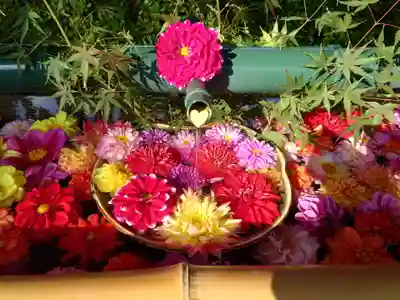 伊和志津神社(兵庫県)