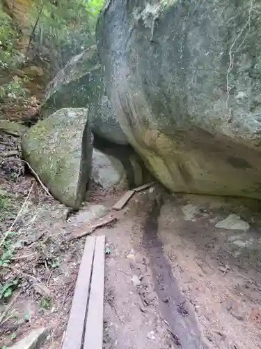名草厳島神社の自然