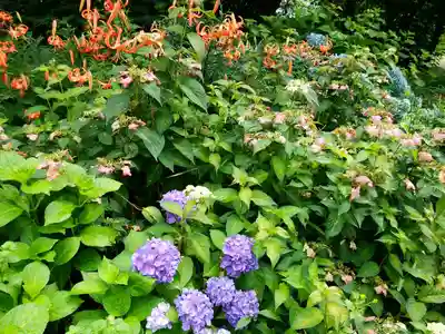 江部乙神社の庭園