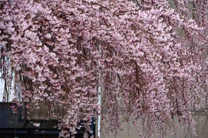 熊野福藏神社の自然