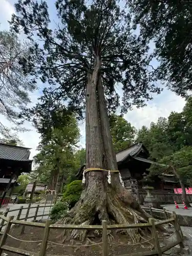 北口本宮冨士浅間神社(山梨県)