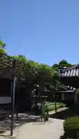 中宮寺(奈良県)