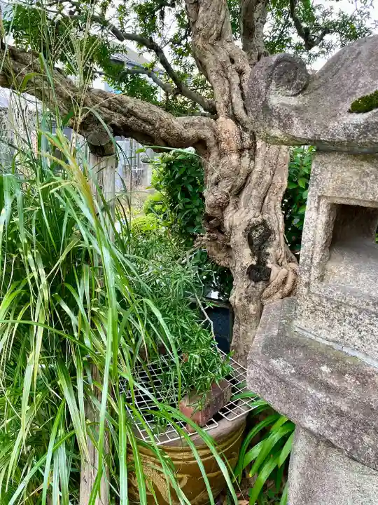 明王院(東京都)