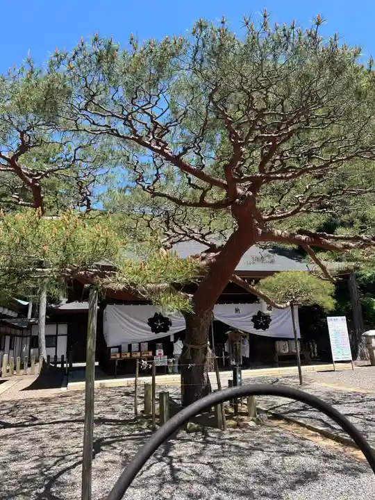 尾張冨士大宮浅間神社(愛知県)