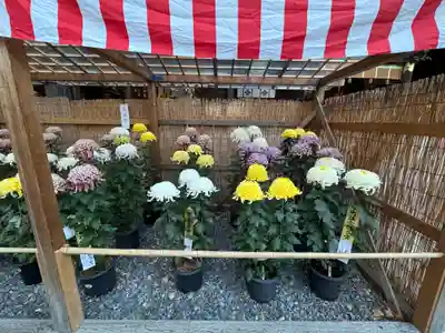 諏訪大社下社秋宮(長野県)